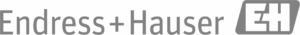 Il logo Endress + Hauser